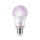 Philips Inteligentna Żarówka LED E27 RGB A60 60W 806lm 2200-6500K - 1544364 - zdjęcie 2